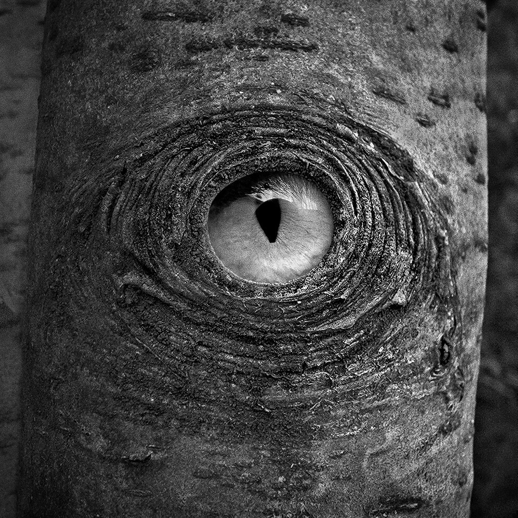 Archillect ID 235143