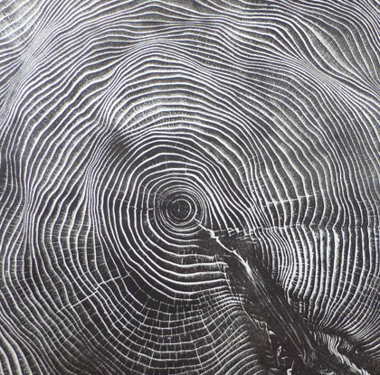 Archillect ID 235260