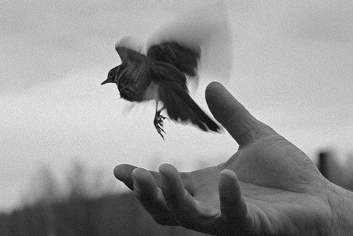 Archillect ID 235267