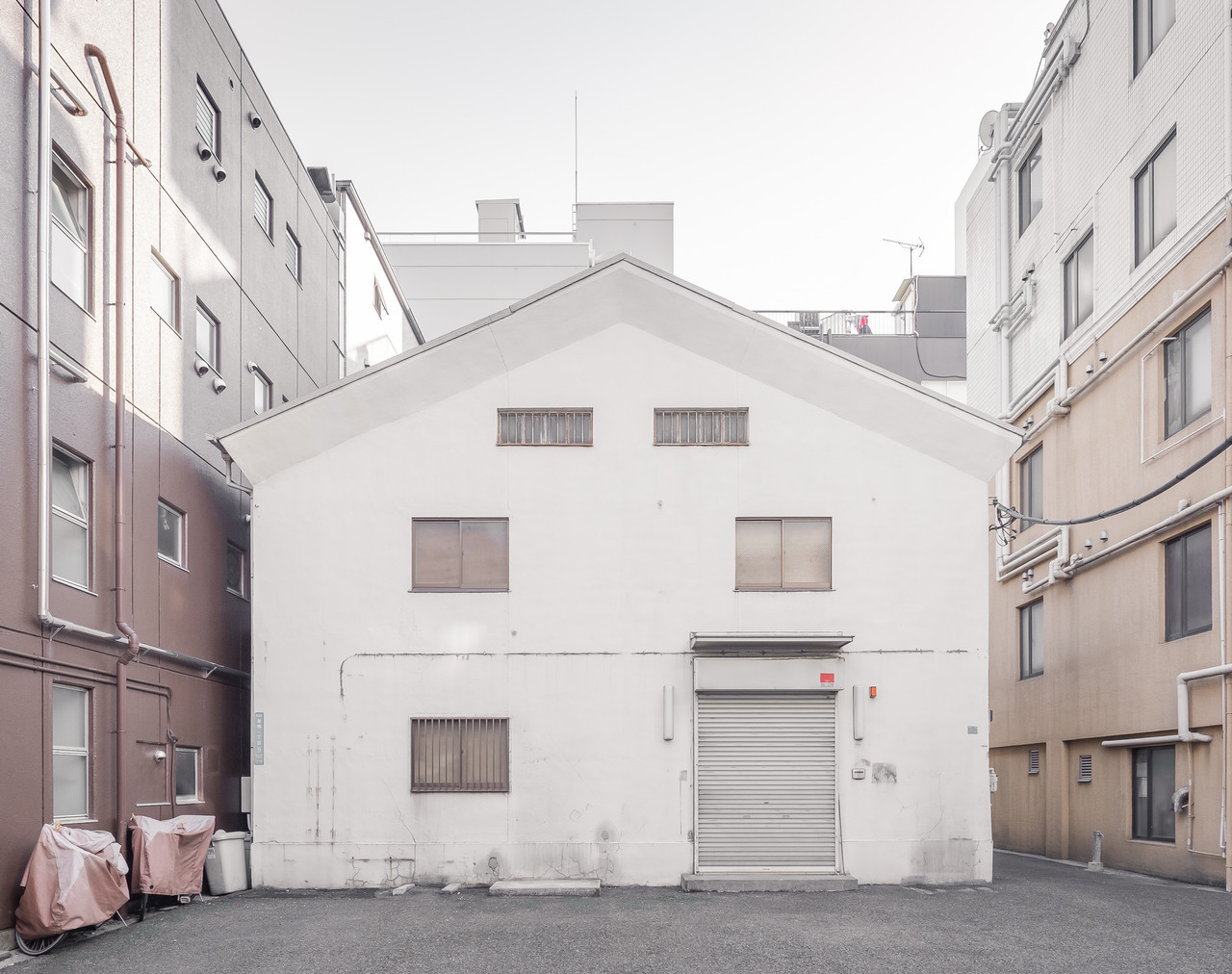 Archillect ID 235755
