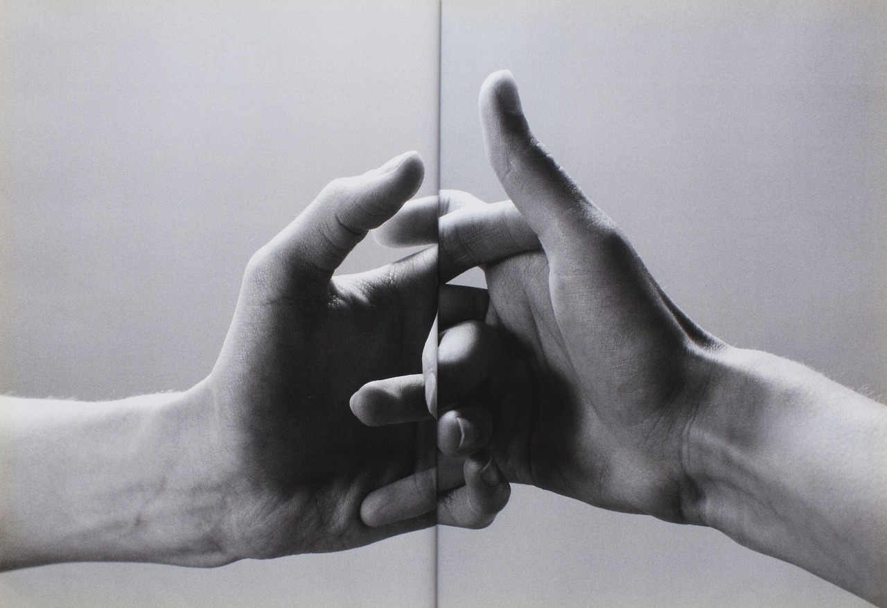 Archillect ID 235818