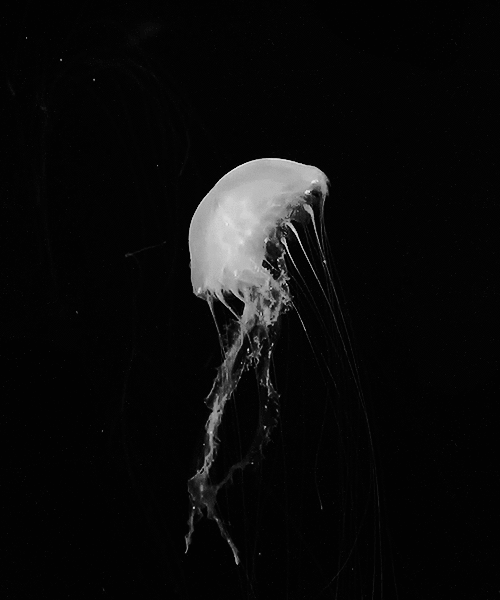 Archillect ID 235842