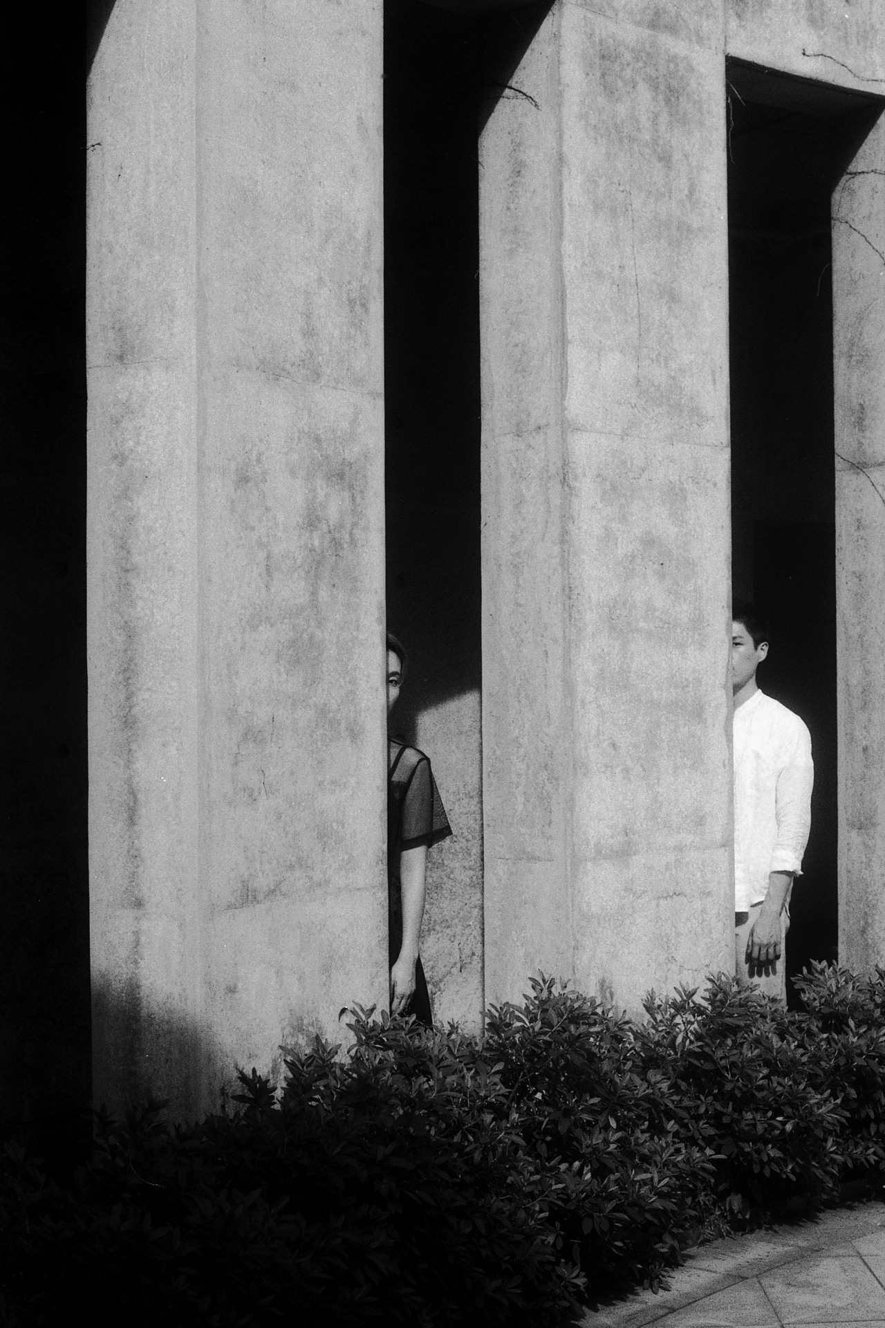Archillect ID 235972