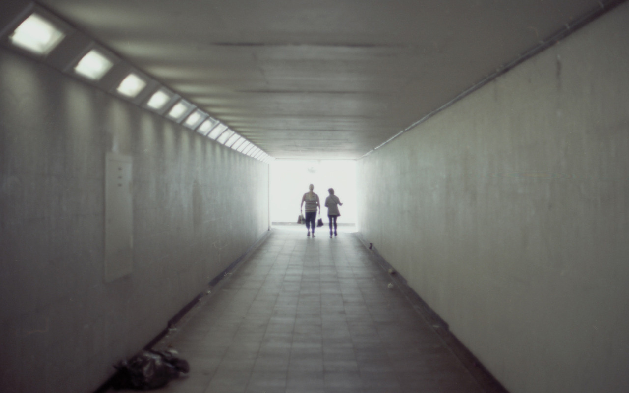 Archillect ID 236019