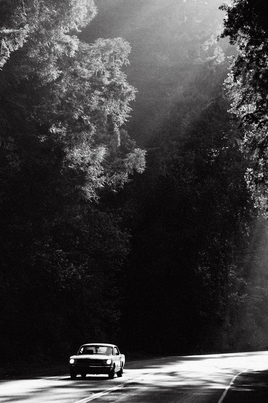 Archillect ID 236812