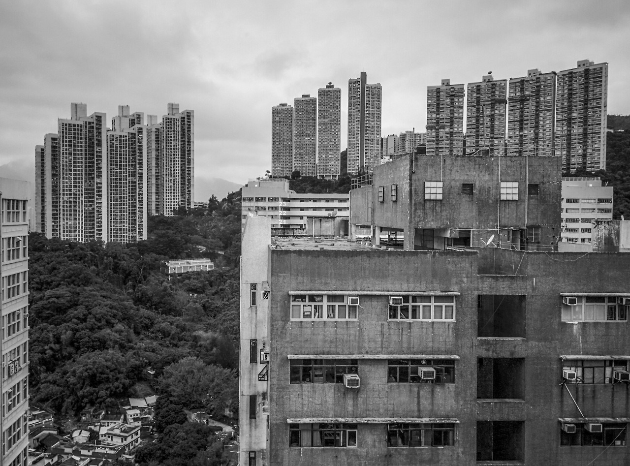Archillect ID 236860