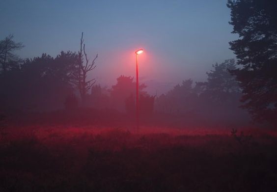 Archillect ID 236880