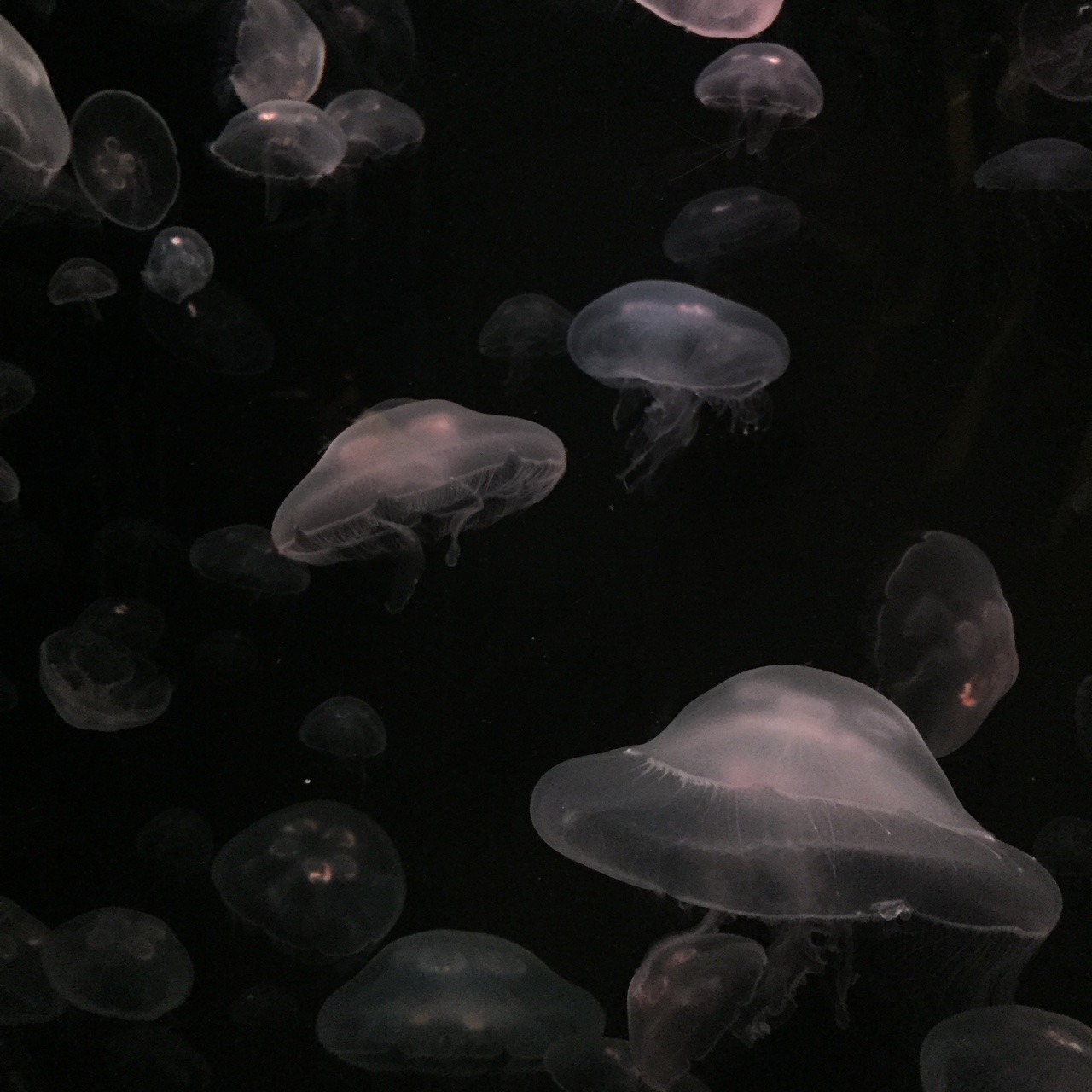 Archillect ID 236926
