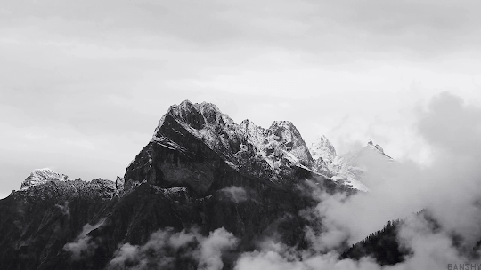 Archillect ID 237061