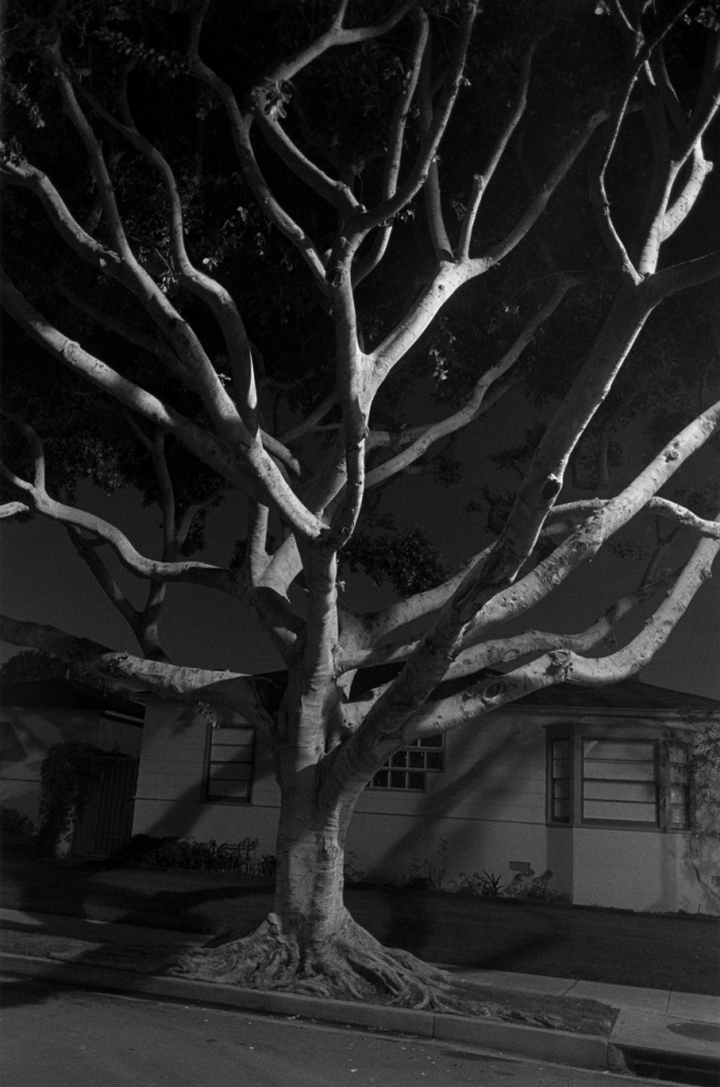 Archillect ID 237126
