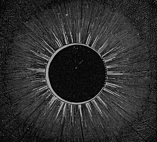 Archillect ID 237180