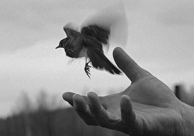 Archillect ID 237186