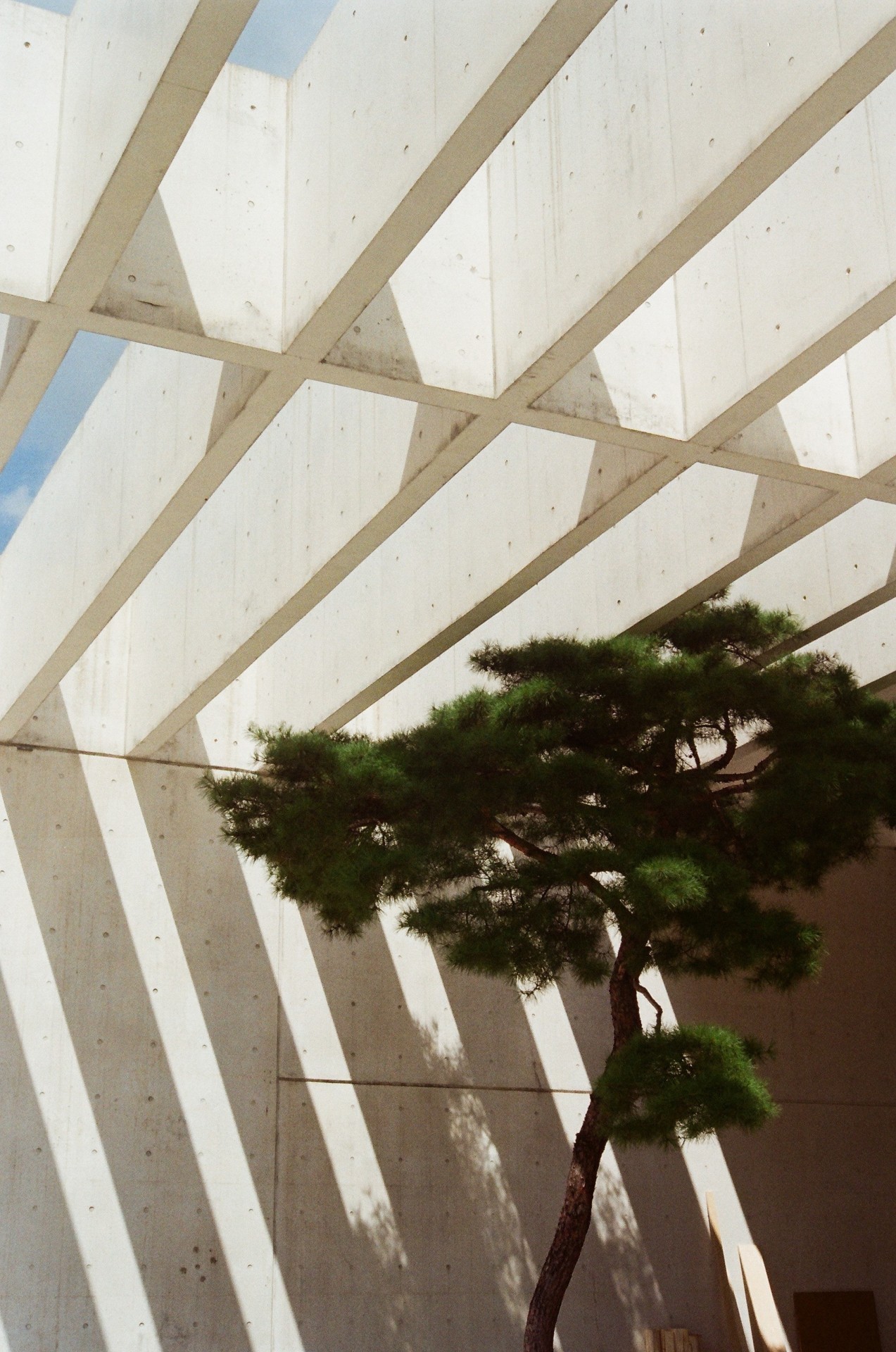 Archillect ID 237345