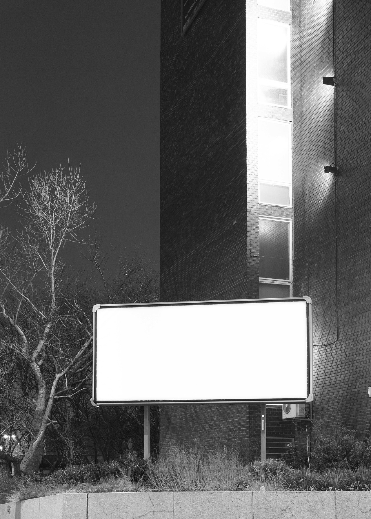 Archillect ID 237381