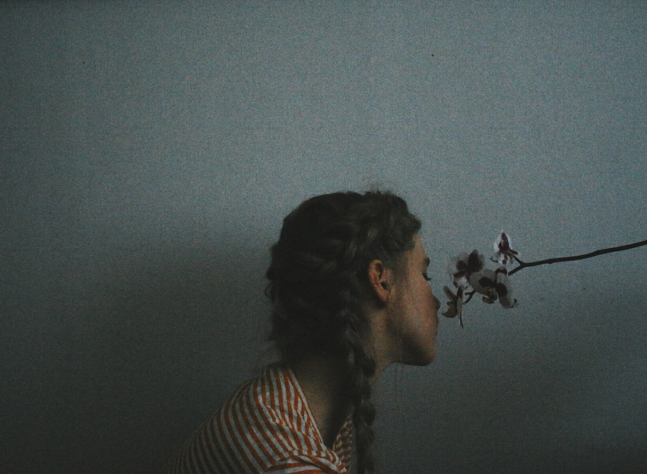 Archillect ID 237461