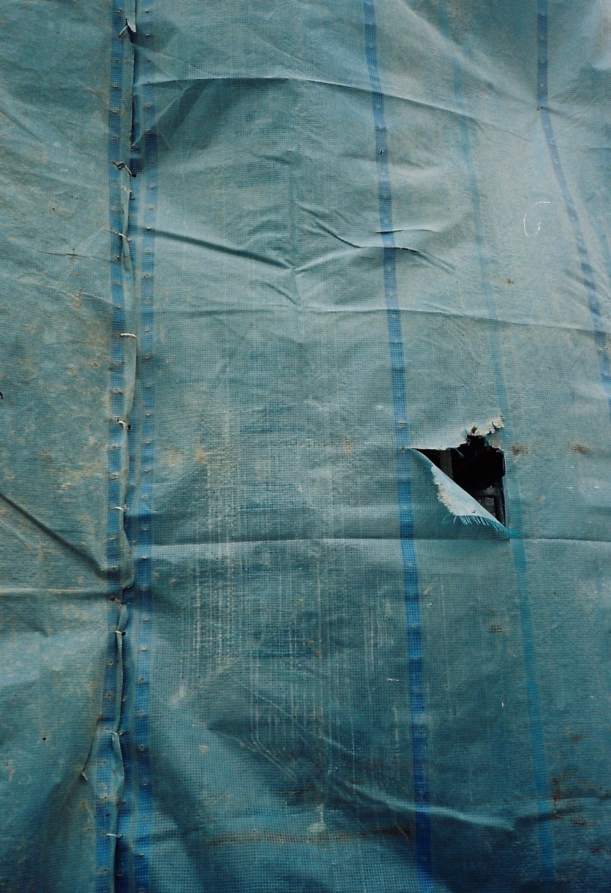 Archillect ID 237471