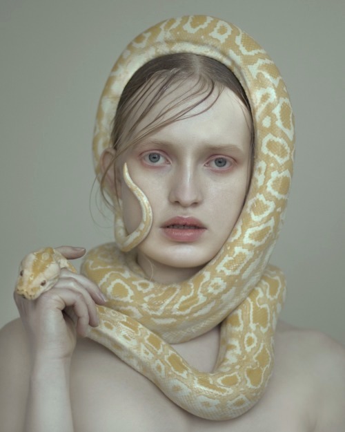 Archillect ID 237532