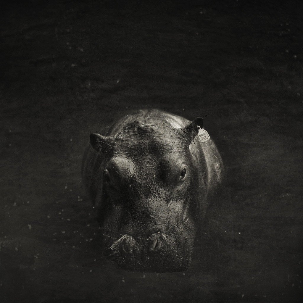 Archillect ID 237803