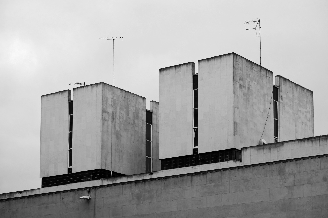 Archillect ID 237902