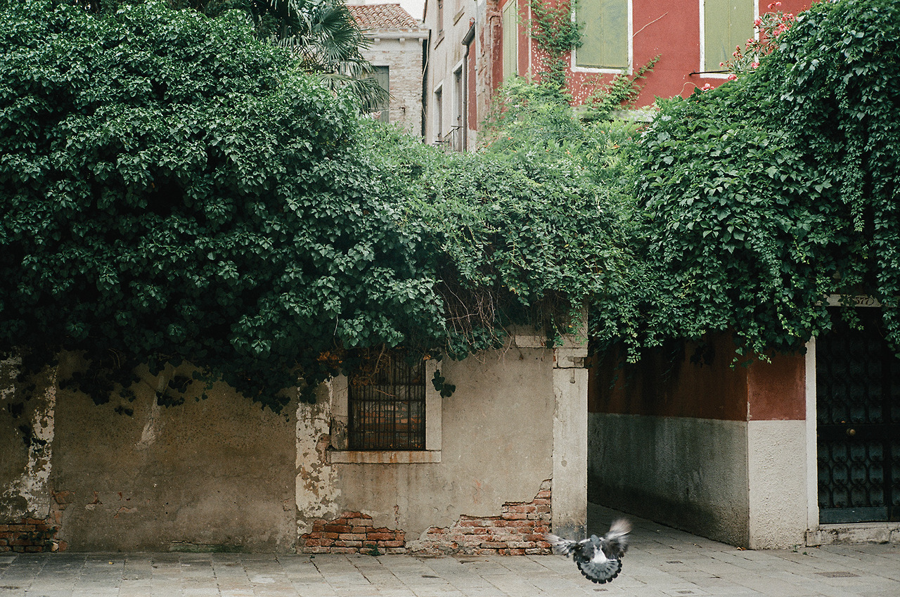 Archillect ID 237927