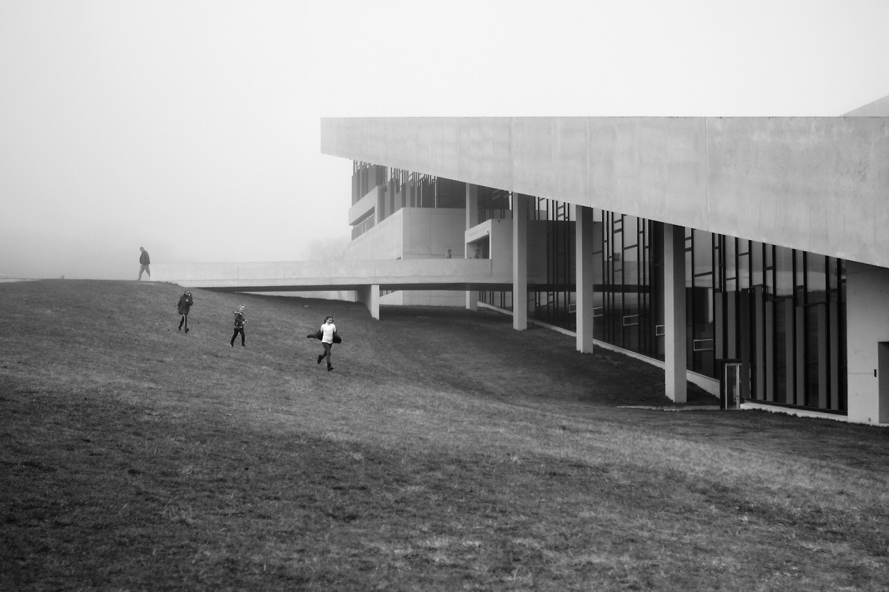 Archillect ID 238203