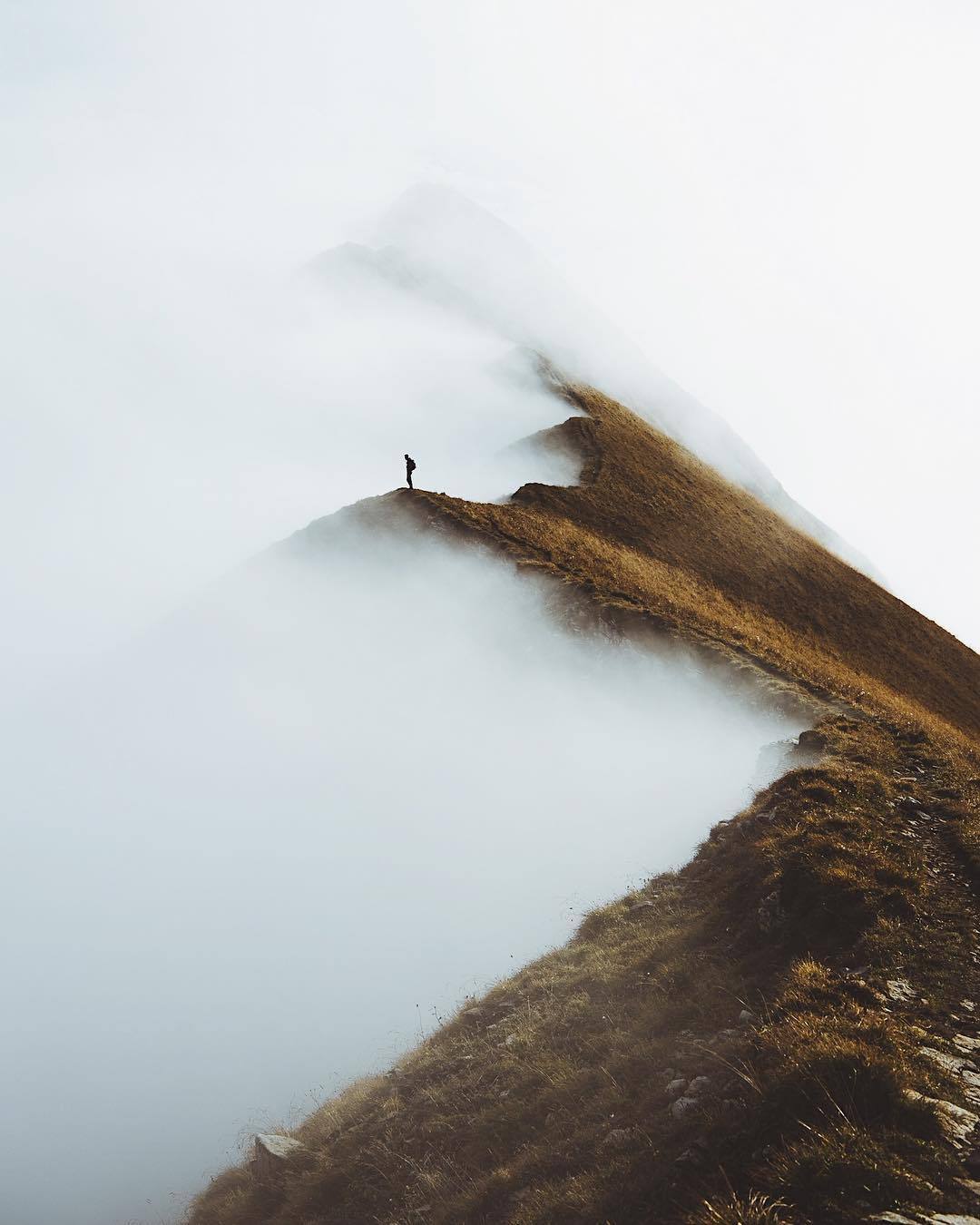 Archillect ID 238276