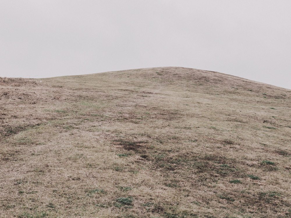 Archillect ID 238288