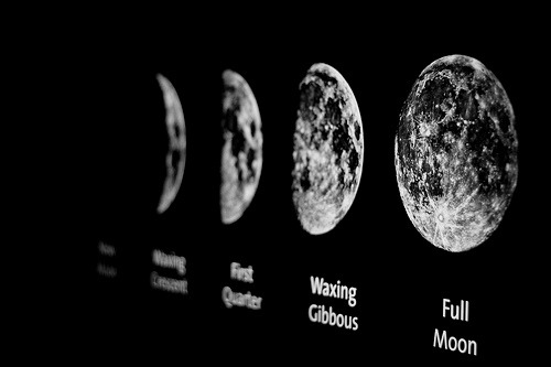 Archillect ID 238390