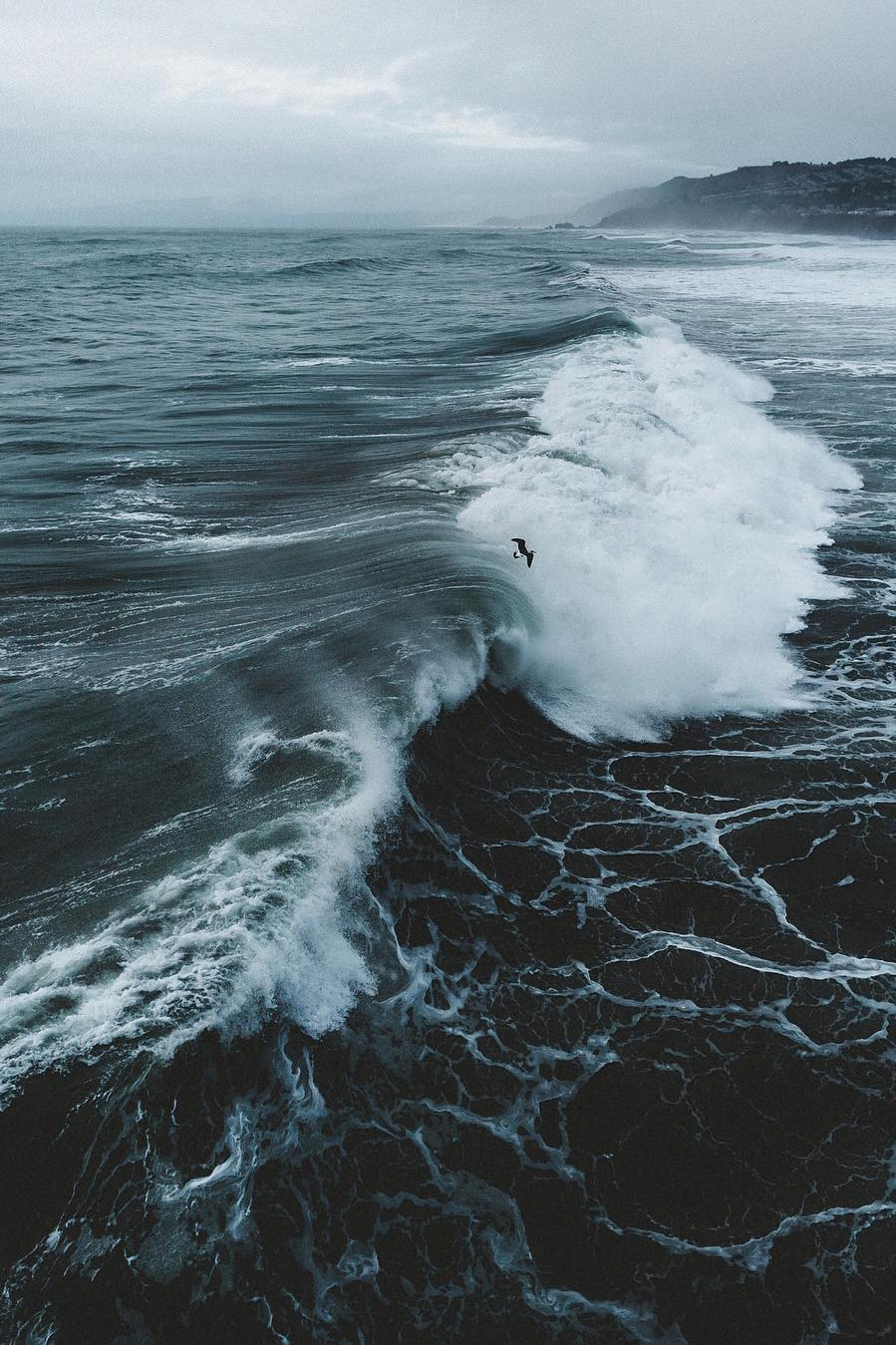 Archillect ID 238494