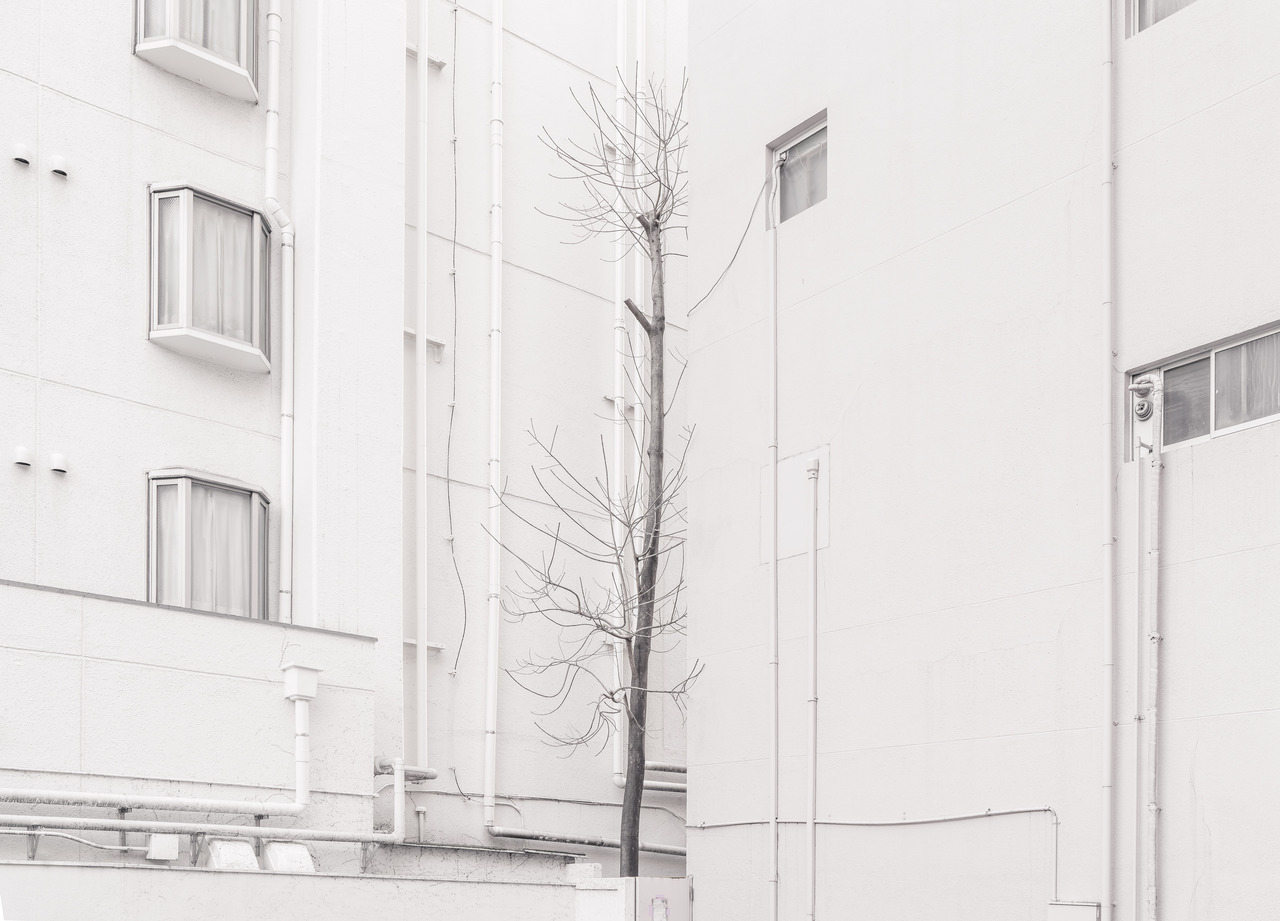 Archillect ID 238585