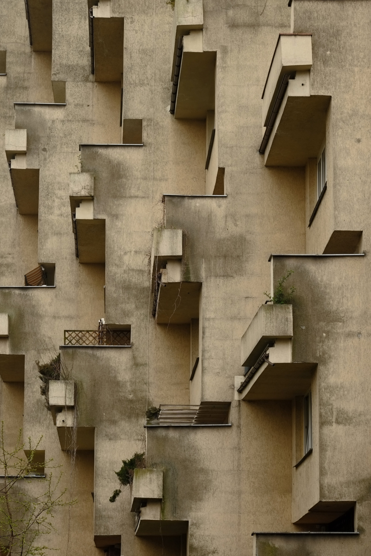 Archillect ID 238664