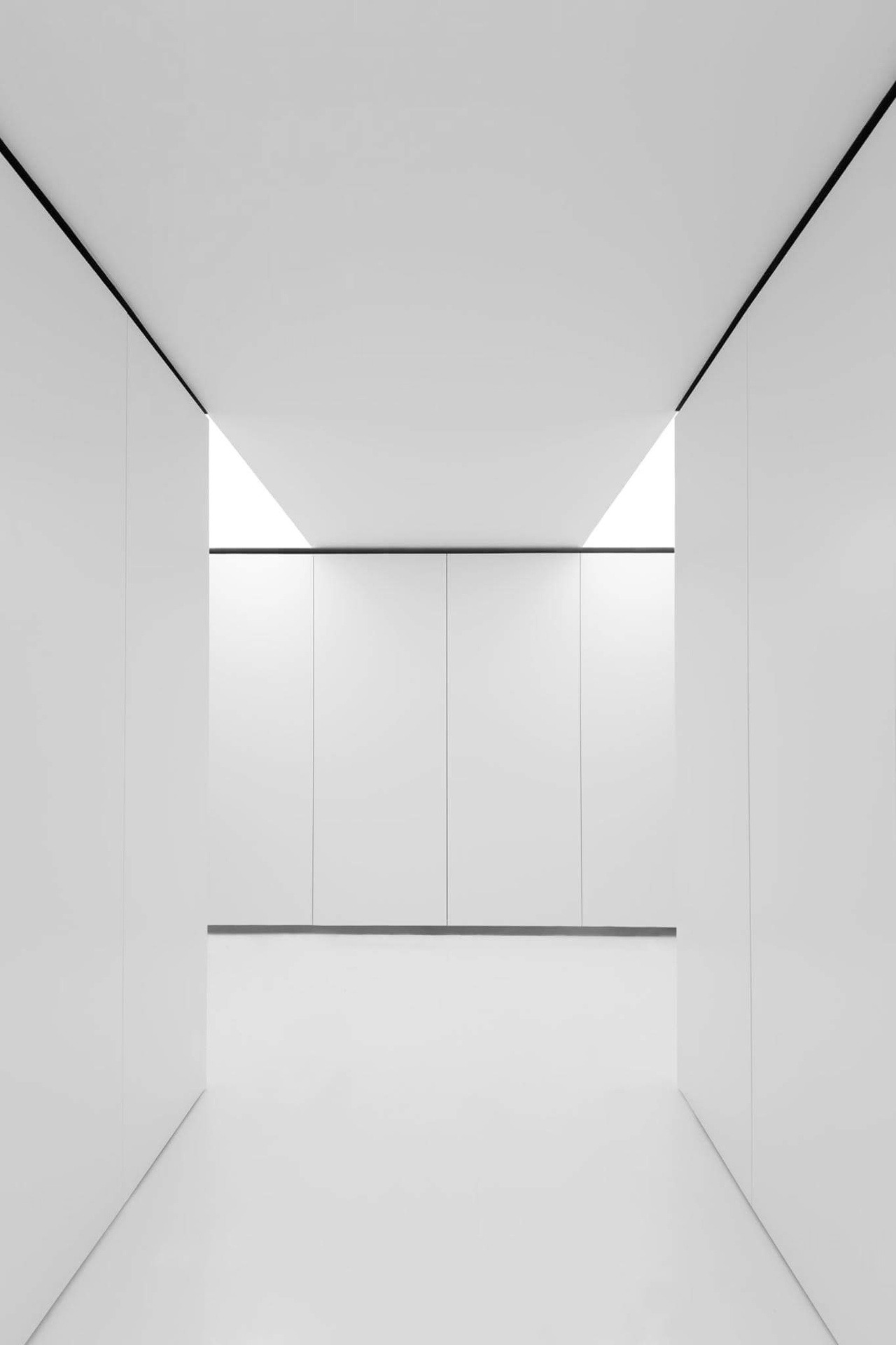 Archillect ID 239134