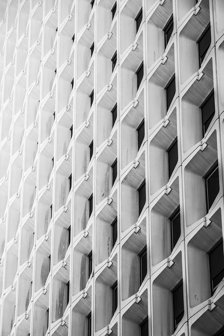 Archillect ID 239167