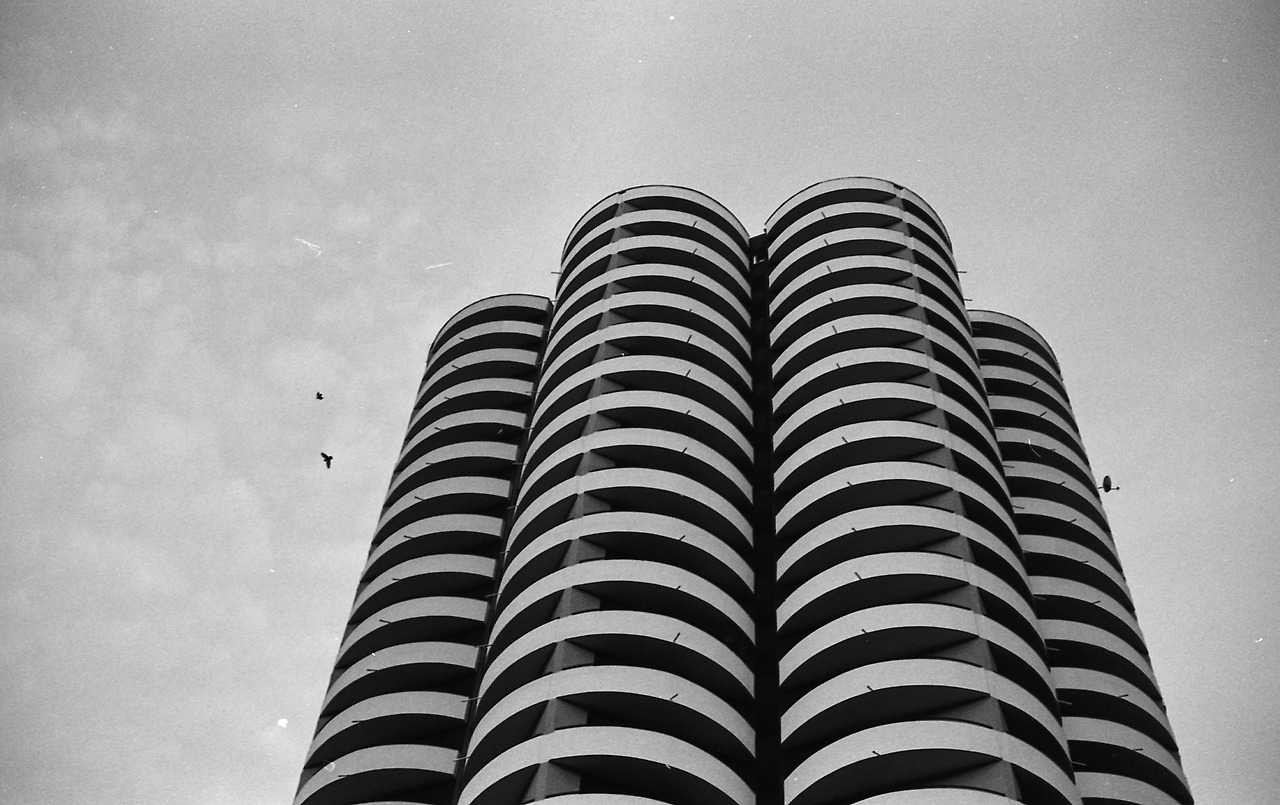 Archillect ID 239211