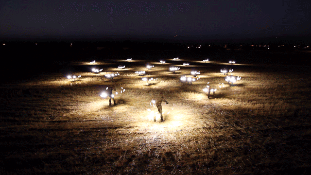 Archillect ID 239268