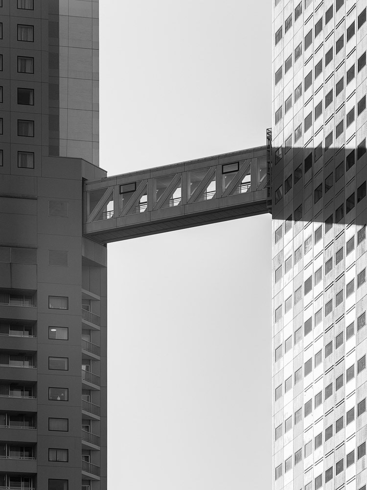 Archillect ID 239667