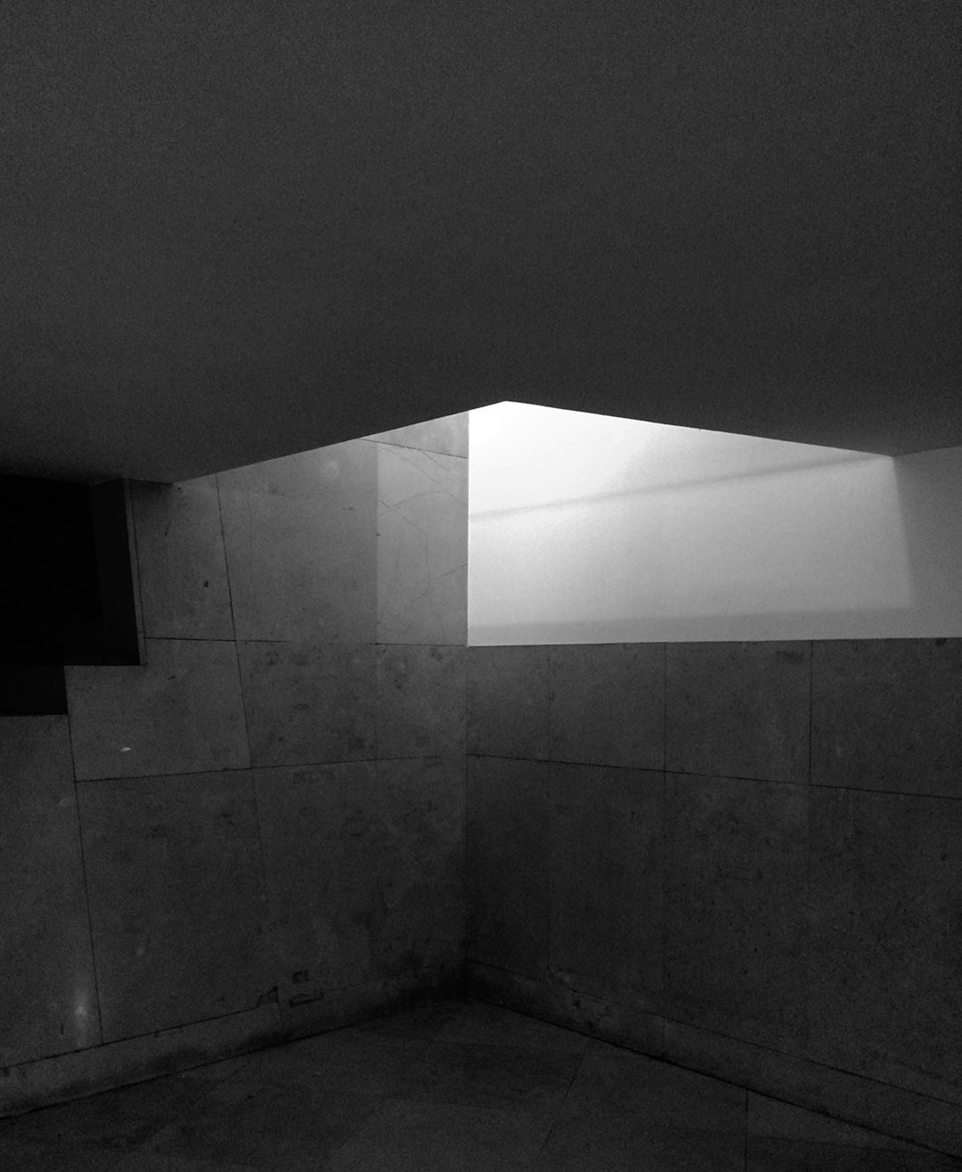 Archillect ID 239738