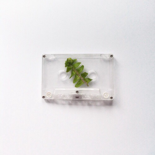 Archillect ID 240028