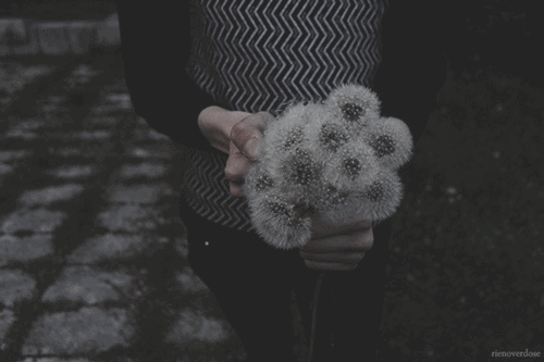 Archillect ID 240152