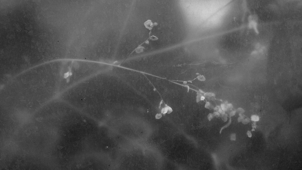 Archillect ID 240216