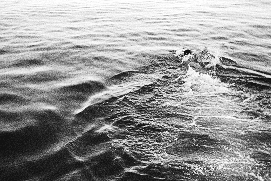 Archillect ID 240315