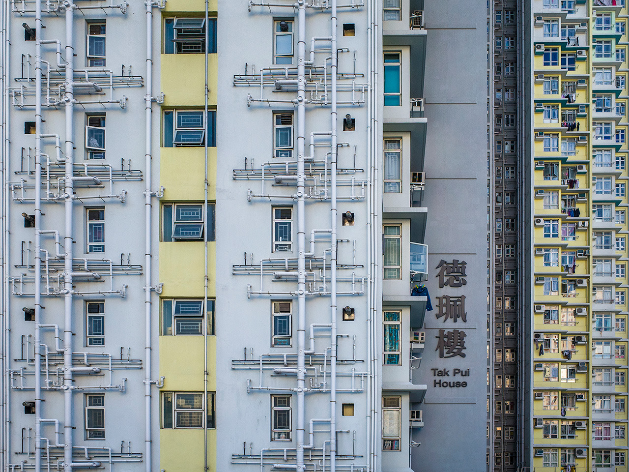 Archillect ID 240504