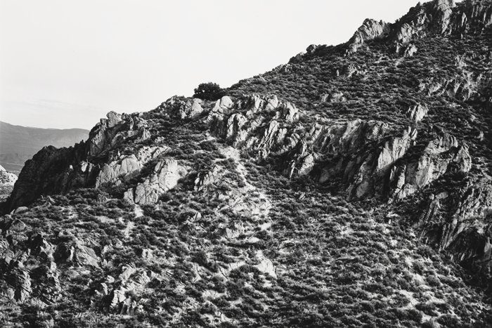 Archillect ID 240637
