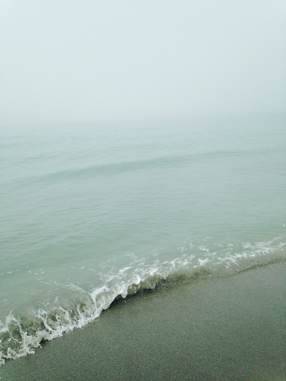 Archillect ID 240981