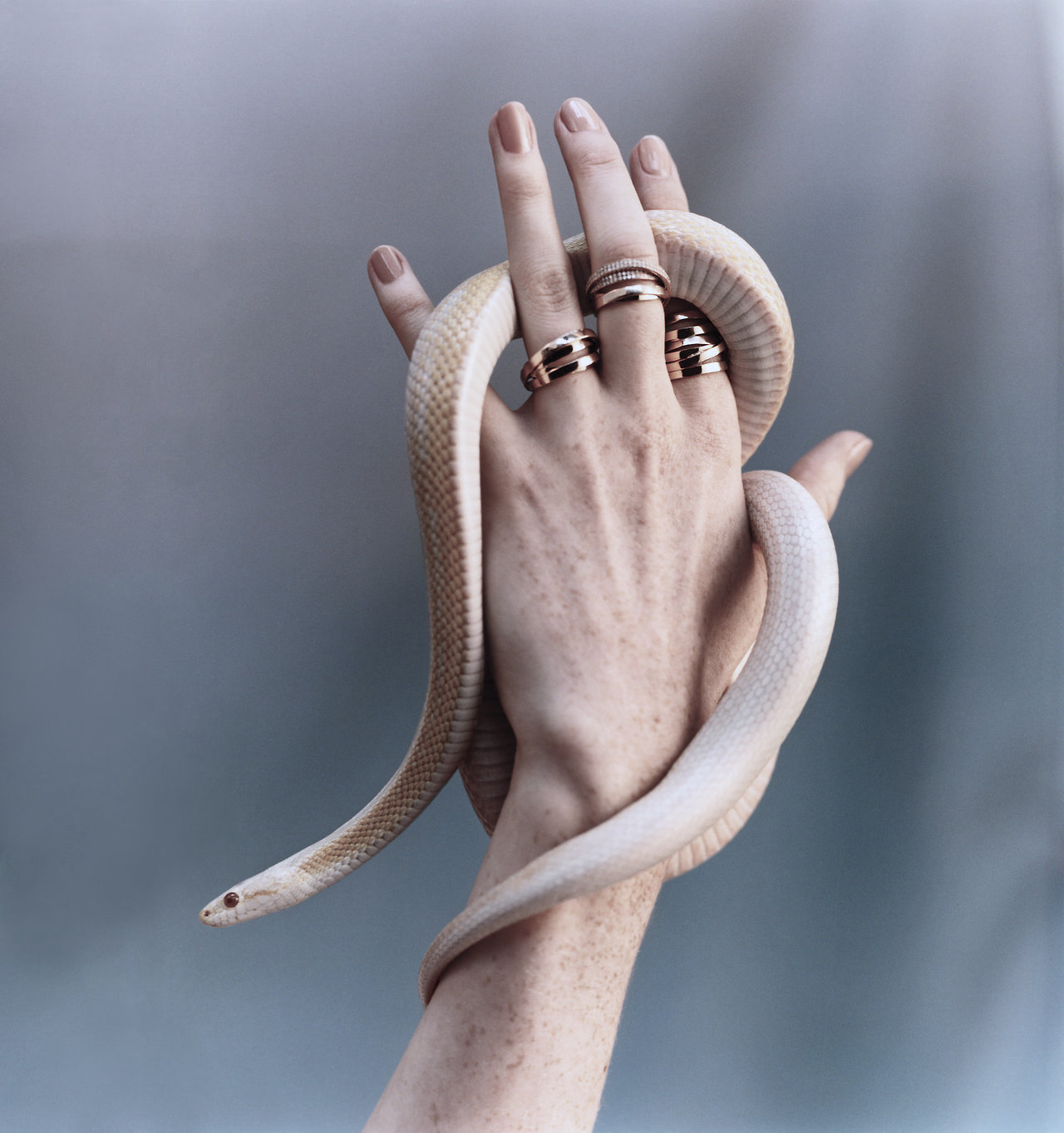 Archillect ID 240999