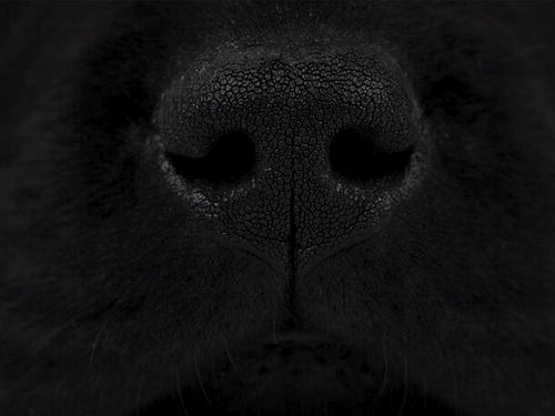 Archillect ID 241095
