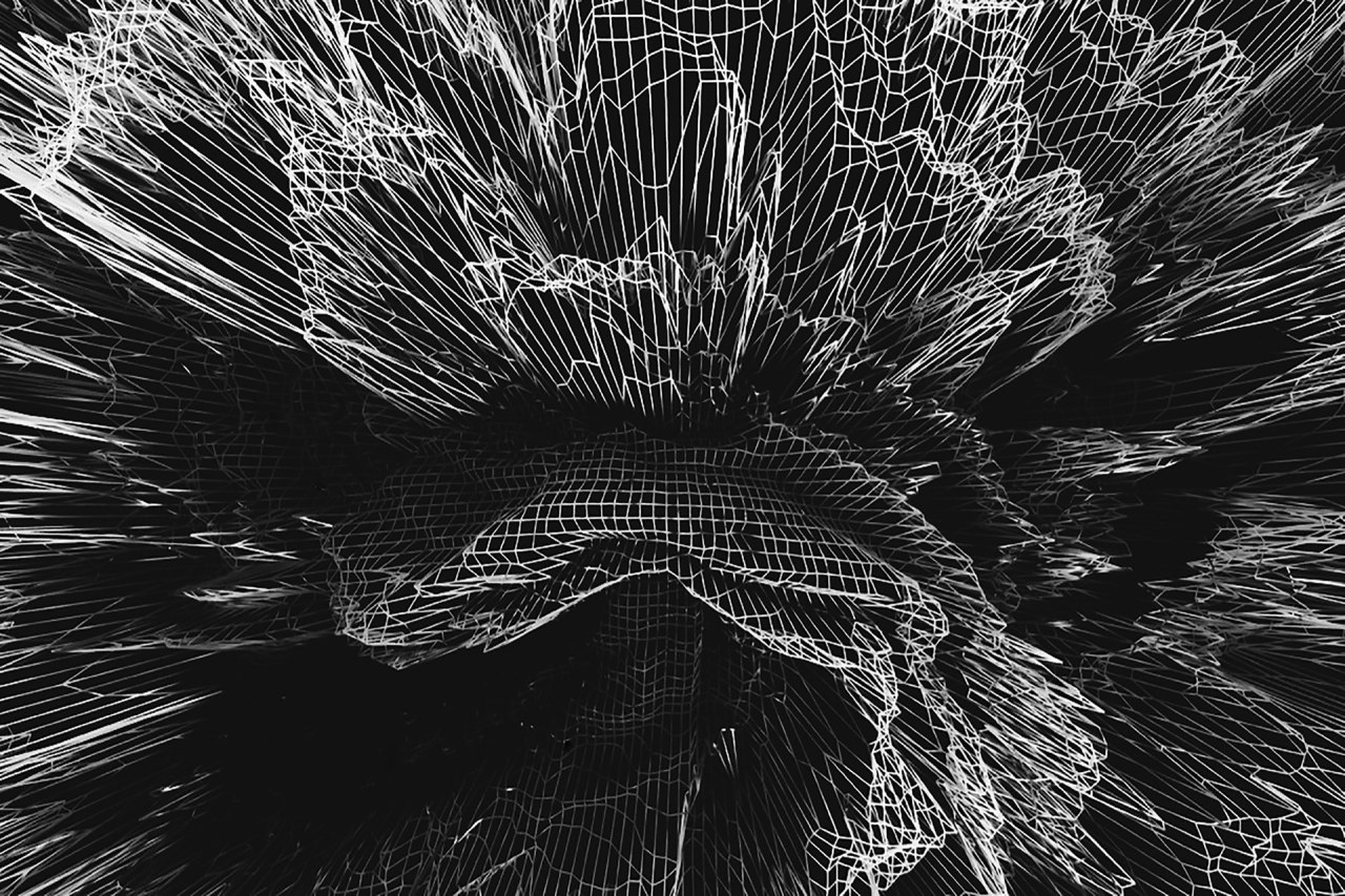 Archillect ID 241297