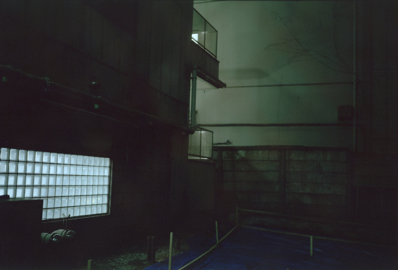 Archillect ID 241342