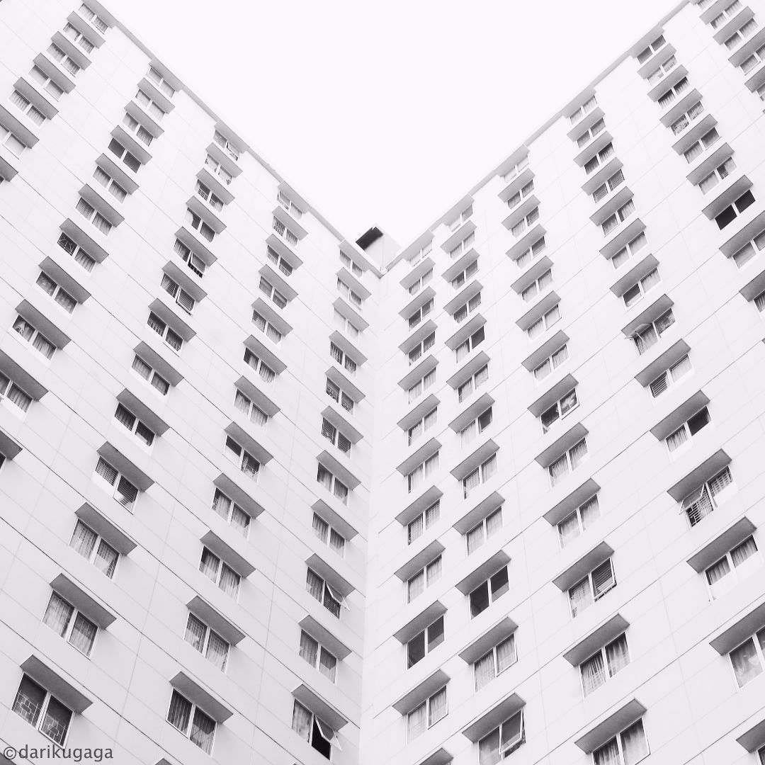 Archillect ID 241519