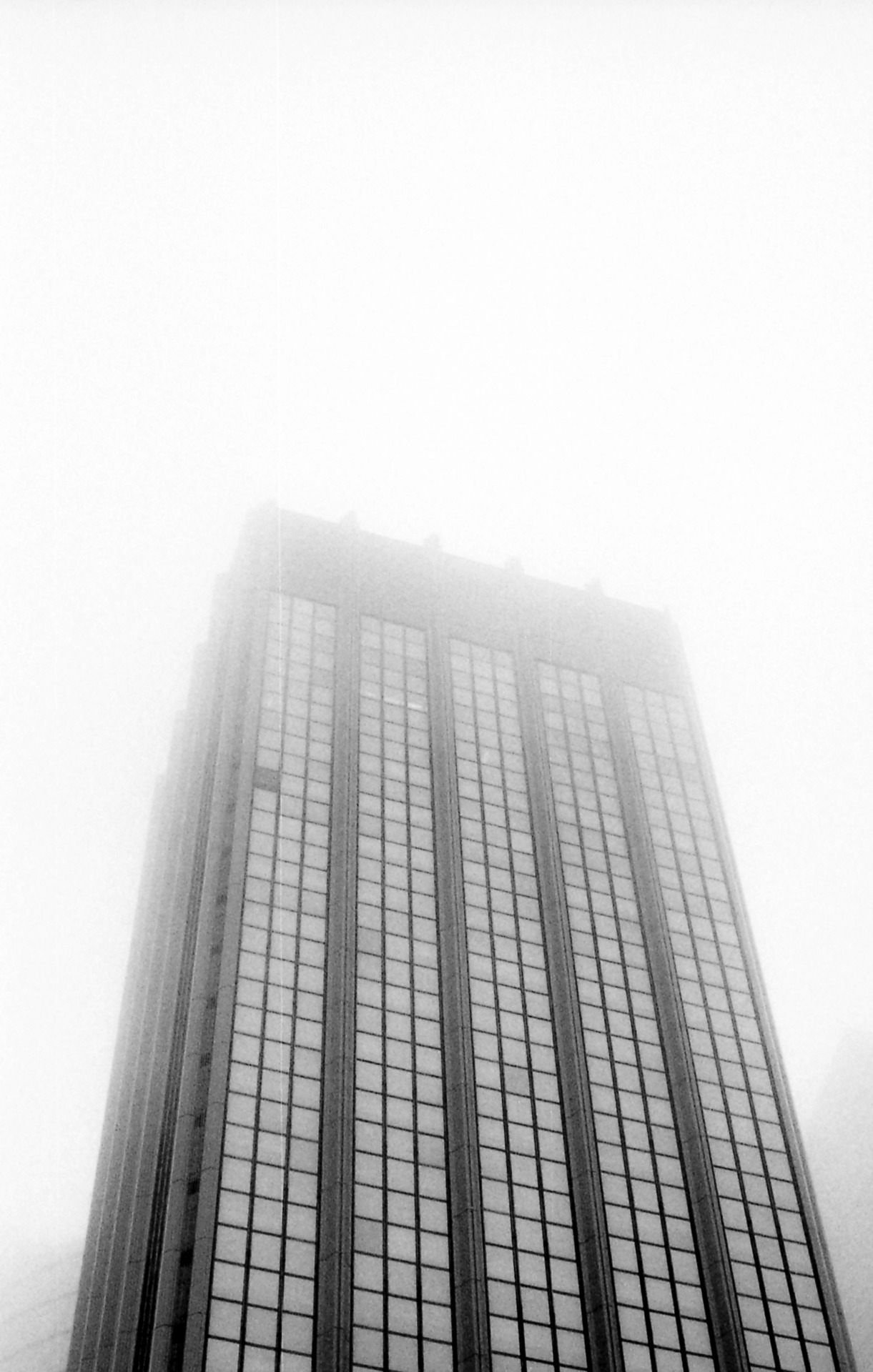 Archillect ID 242021